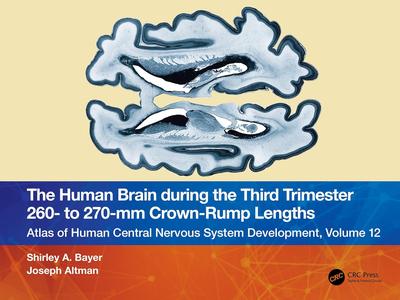 The Human Brain during the Third Trimester 260– to 270–mm Crown–Rump Lengths