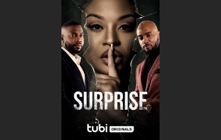 SurpRise (2023) 720p WEB h264-DiRT 7d88fa84afeef7cd4161957624b58058