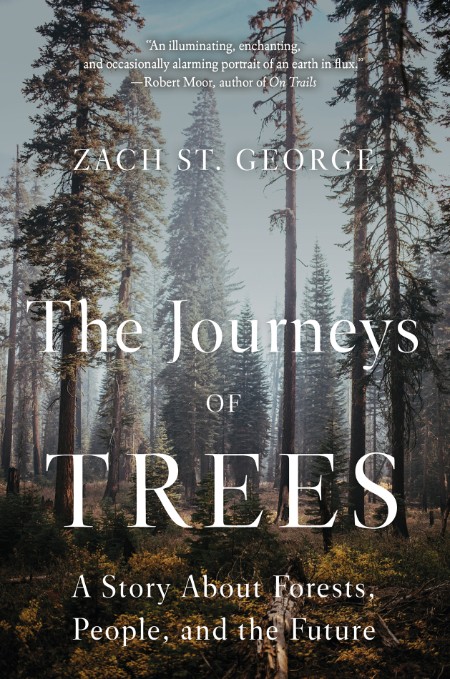 The Journeys of Trees by Zach St. George