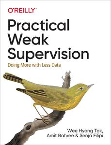 Practical Weak Supervision: Doing More with Less Data (PDF)