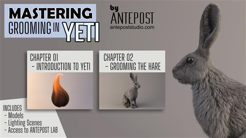 MASTERING GROOMING IN YETI – GROOM COURSE IN MAYA