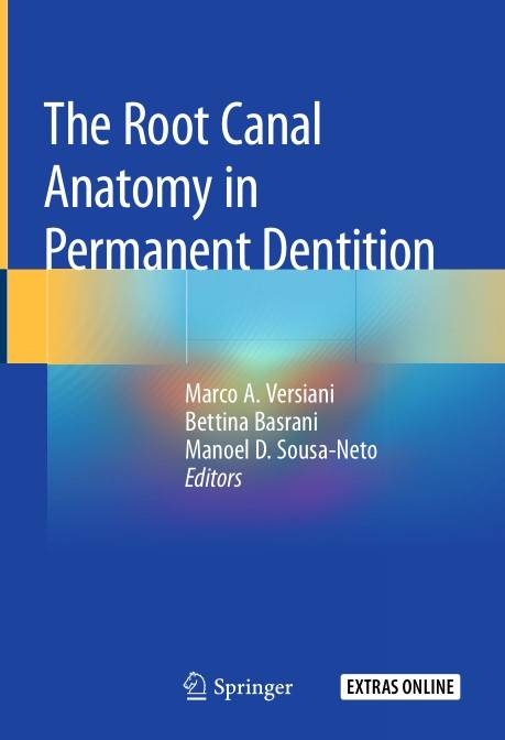 The Root Canal Anatomy in Permanent Dentition (2024)