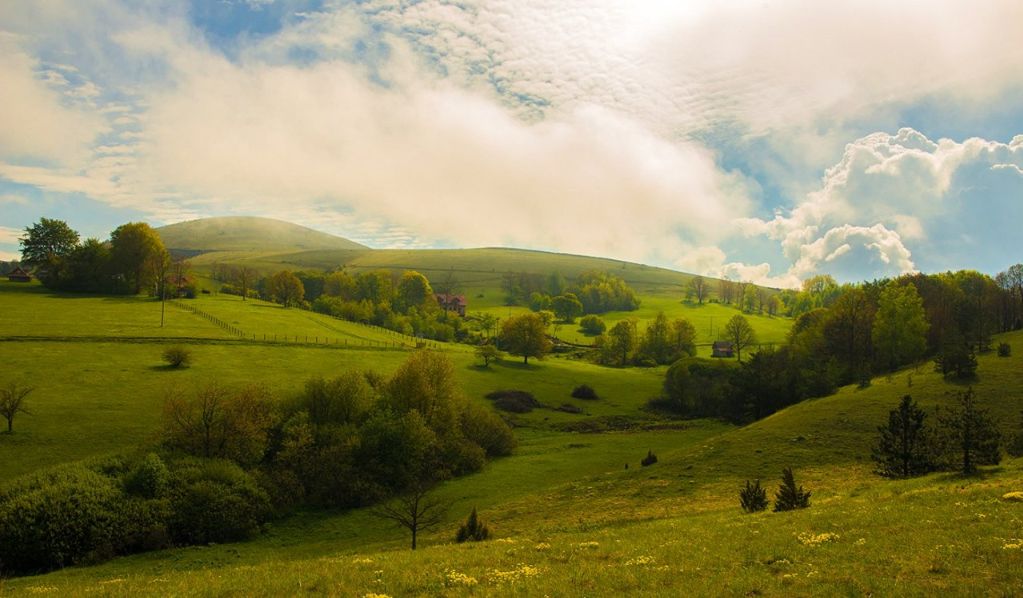 Zlatibor - Page 2 08fc29397ea399c489d1edea014c920e