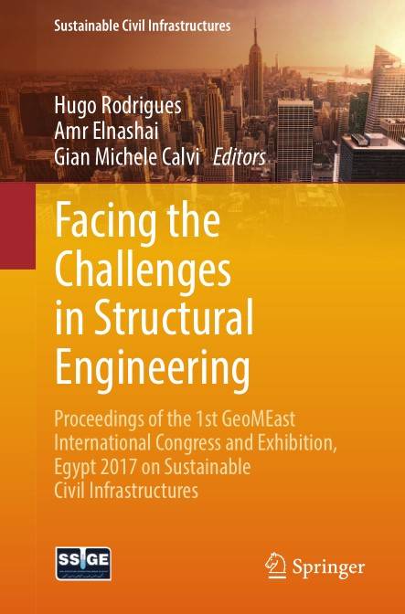 Facing the Challenges in Structural Engineering (2024)