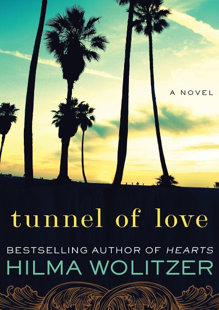 Tunnel of Love by Hilma Wolitzer