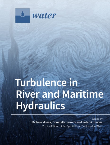 Turbulence in River and Maritime Hydraulics (2024)