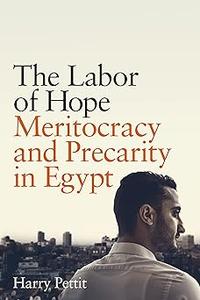 The Labor of Hope Meritocracy and Precarity in Egypt