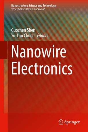Nanowire Electronics (2024)
