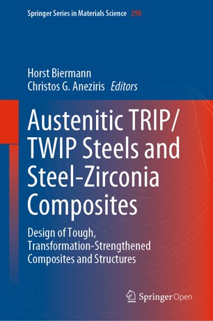 Austenitic TRIPTWIP Steels and Steel–Zirconia Composites (2024)