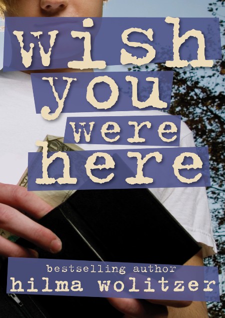 Wish You Were Here by Hilma Wolitzer