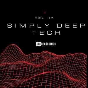 Simply Deep Tech, Vol. 17 (2024)