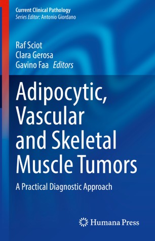 Adipocytic, Vascular and Skeletal Muscle Tumors A Practical Diagnostic Approach (2024)
