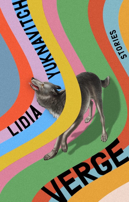 Verge by Lidia Yuknavitch 2cd3bb01b86c3614eb159e47ff899f50