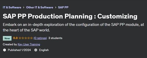 SAP PP Production Planning – Customizing