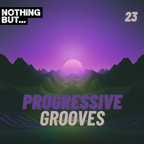 VA - Nothing But... Progressive Grooves Vol 23 (2024) (MP3)