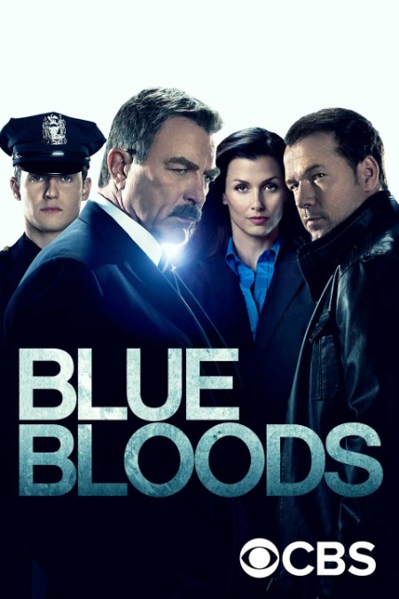 Blue Bloods Crime Scene New York S13E16 GERMAN DL 1080P WEB H264-WAYNE