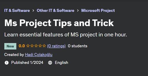 Ms Project Tips and Trick