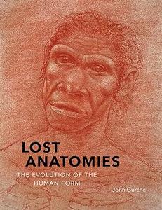 Lost Anatomies The Evolution of the Human Form