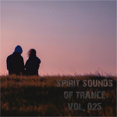 Картинка Spirit Sounds Of Trance Vol 25 (Extended Mixes) (2023)