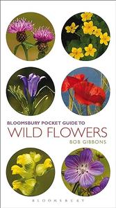 Pocket Guide To Wild Flowers (2024)