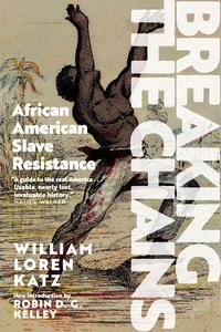 Breaking the Chains African American Slave Resistance