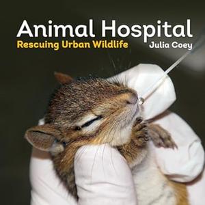 Animal Hospital Rescuing Urban Wildlife