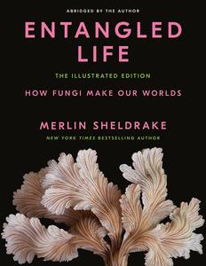 Entangled Life The Illustrated Edition How Fungi Make Our Worlds