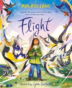 Flight Explore the Secret Routes of the Skies From a Bird's–Eye View