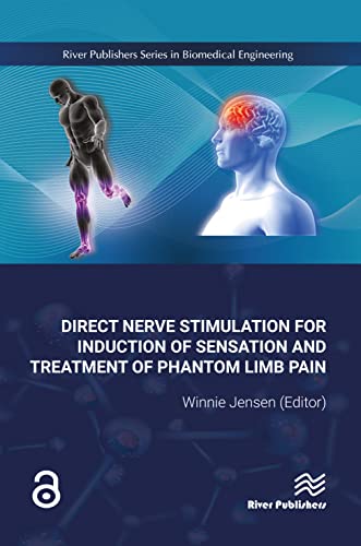 Direct Nerve Stimulation for Induction of Sensation and Treatment of Phantom Limb Pain (2024)