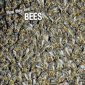 How they live… Bees Learn All There Is to Know About These Animals!