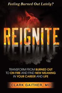 REIGNITE Transform from Burned Out to On Fire and Find New Meaning in Your Career and Life