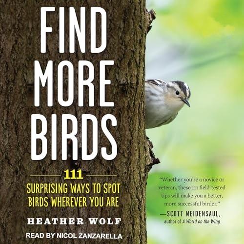 Find More Birds 111 Surprising Ways to Spot Birds Wherever You Are [Audiobook]