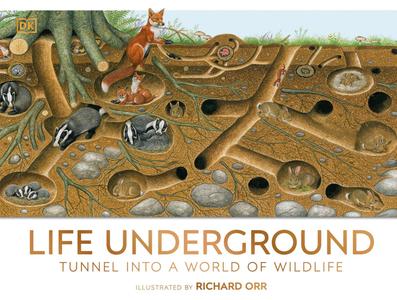 Life Underground Tunnel into a World of Wildlife (DK Panorama)