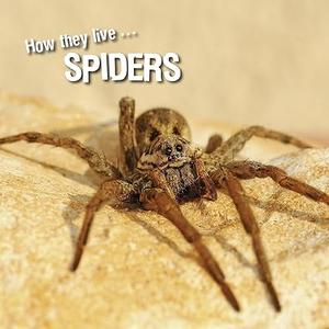 How they live… Spiders Learn All There Is to Know About These Animals!