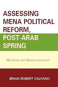 Assessing MENA Political Reform, Post-Arab Spring Mediators and Microfoundations