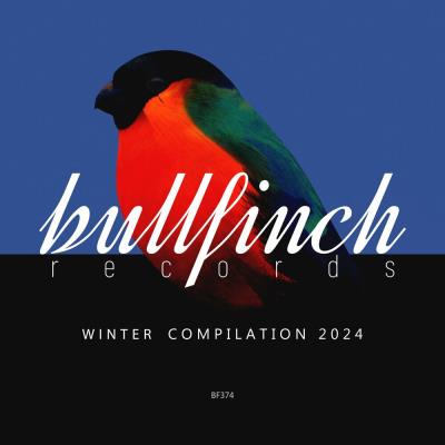 Картинка Bullfinch Winter 2024 Compilation (2024)