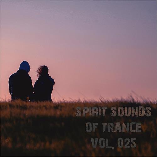 VA - Spirit Sounds Of Trance Vol 25 (Extended Mixes) (2023) (MP3)