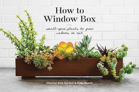 How to Window Box Small-Space Plants to Grow Indoors or Out (2024)