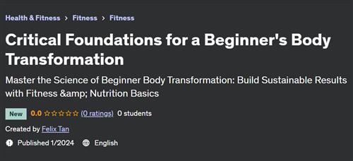 Critical Foundations for a Beginner’s Body Transformation