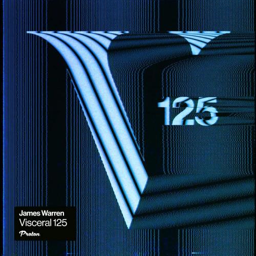 VA - Visceral 125 (2024) (MP3)