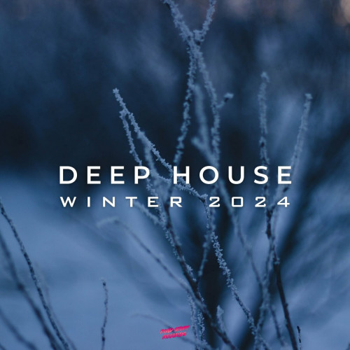 Deep House Winter 2024 (2024) FLAC