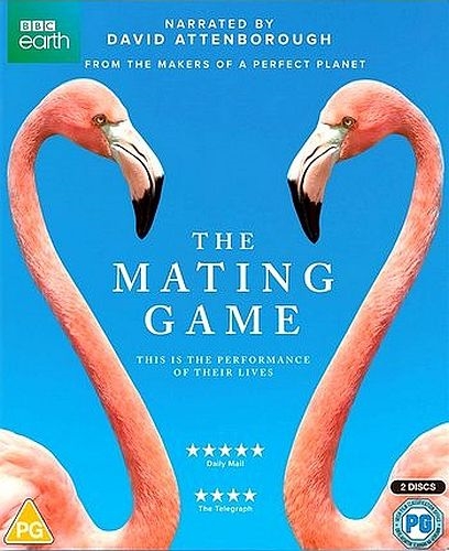 BBC. Брачные игры / The Mating Game [01-05 из 05] (2021) WEBRip 720p | P1