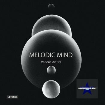 VA - Melodic Mind (2024) MP3