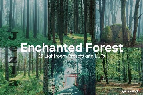 25 Enchanted Forest Lightroom Preset - 10175306