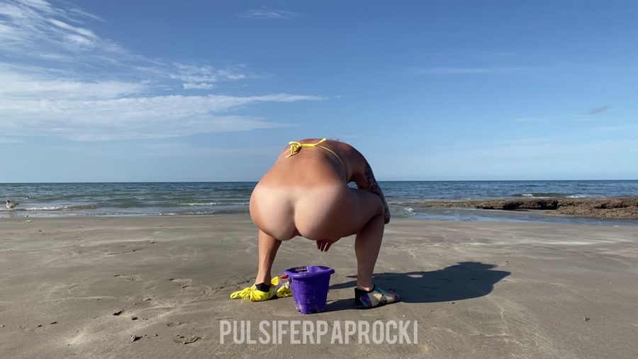 PulsiferPaprocki  Beach Bucket Poop (98.6 MB)