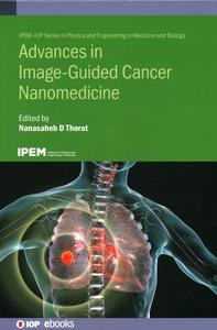 Advances in Image Guided Cancer Nanomedicine