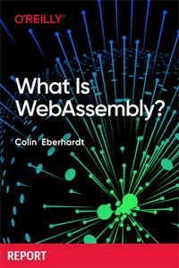 What Is WebAssembly