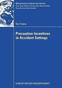 Precaution Incentives in Accident Settings