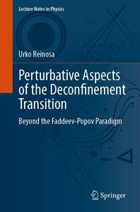 Perturbative Aspects of the Deconfinement Transition Beyond the Faddeev-Popov Paradigm (Lecture Notes in Physics)
