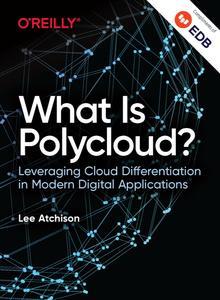 What Is Polycloud